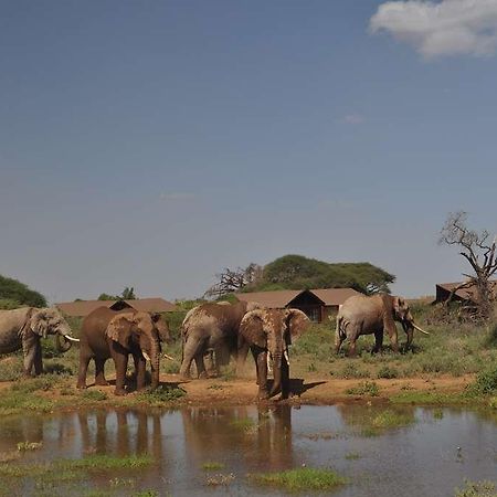 Отель Kilima Safari Camp Oloitokitok Экстерьер фото